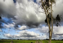 快船全面碾压灰熊，取得轻松胜利