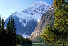 进入决胜时刻，强队备战冠军之战